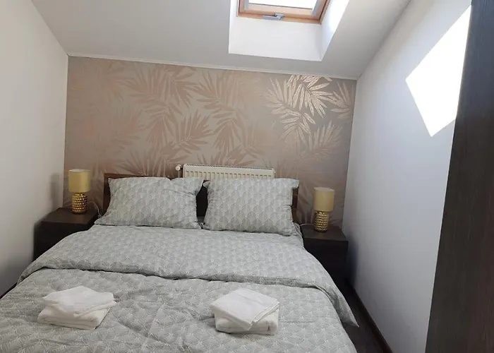 Cosy 2 Bedroom In New Town Apartment Brasov