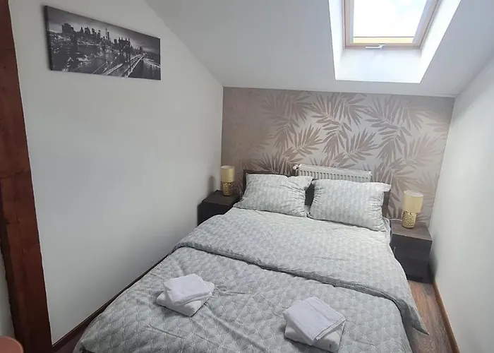 Cosy 2 Bedroom In New Town Apartment Brasov