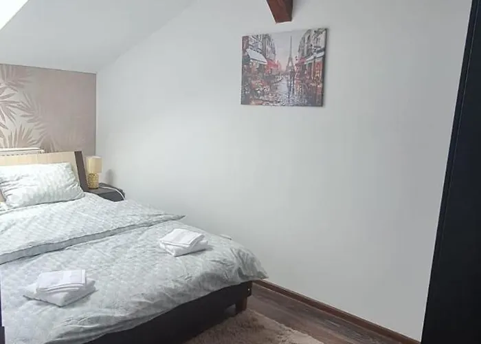 Cosy 2 Bedroom In New Town Apartment Brasov