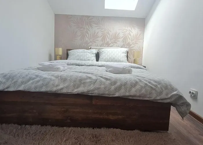 Apartment Cosy 2 Bedroom In New Town Brasov