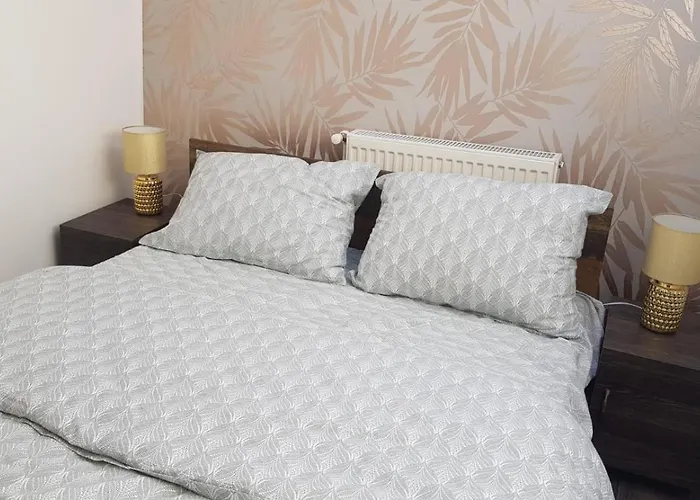 Cosy 2 Bedroom In New Town Apartment Brasov