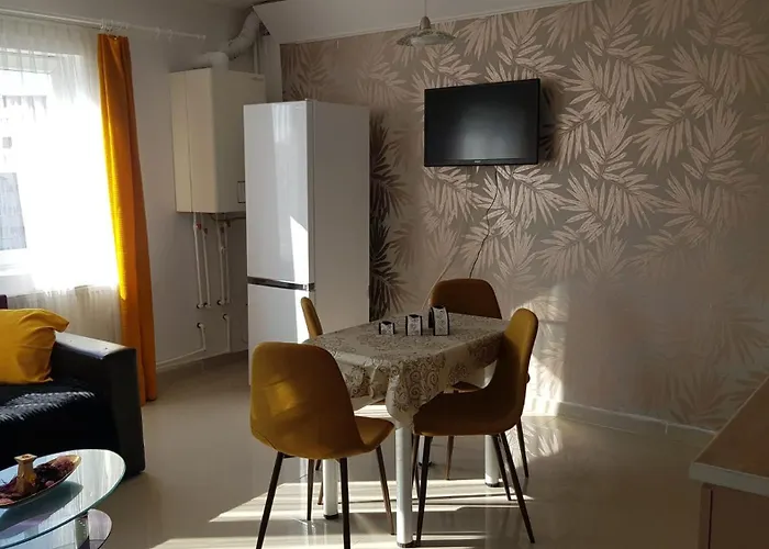 Cosy 2 Bedroom In New Town Brasov