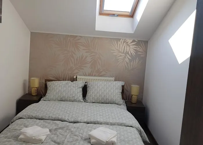 Cosy 2 Bedroom In New Town Brasov
