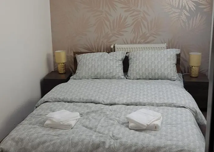 Apartment Cosy 2 Bedroom In New Town Brasov